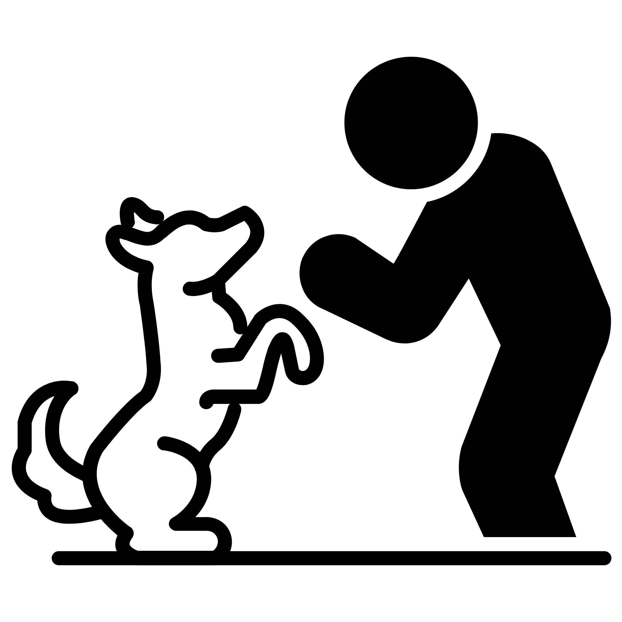 Domowy hotel dla psów