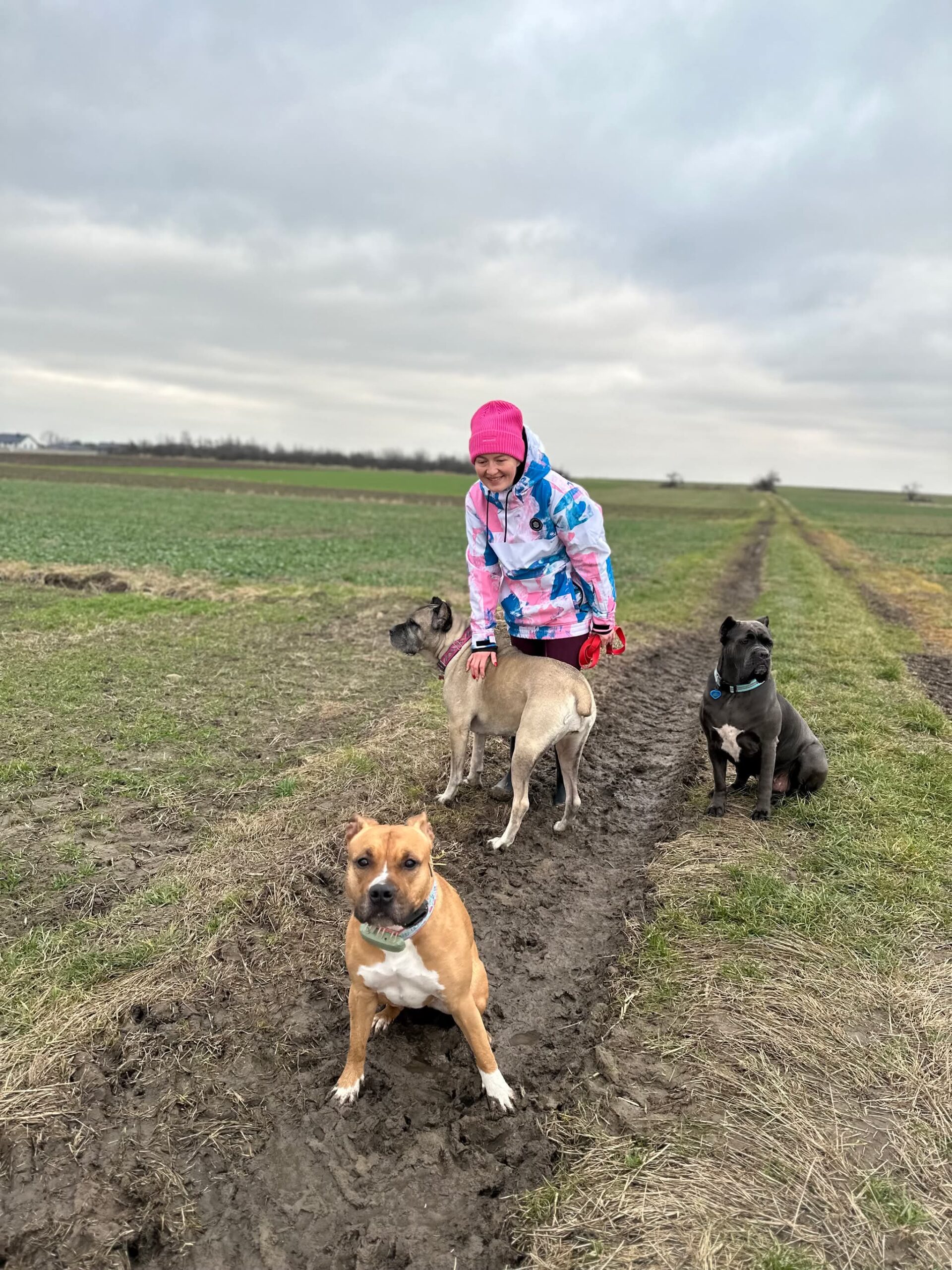 Piesomania śląskie, łódzkie, małopolskie 