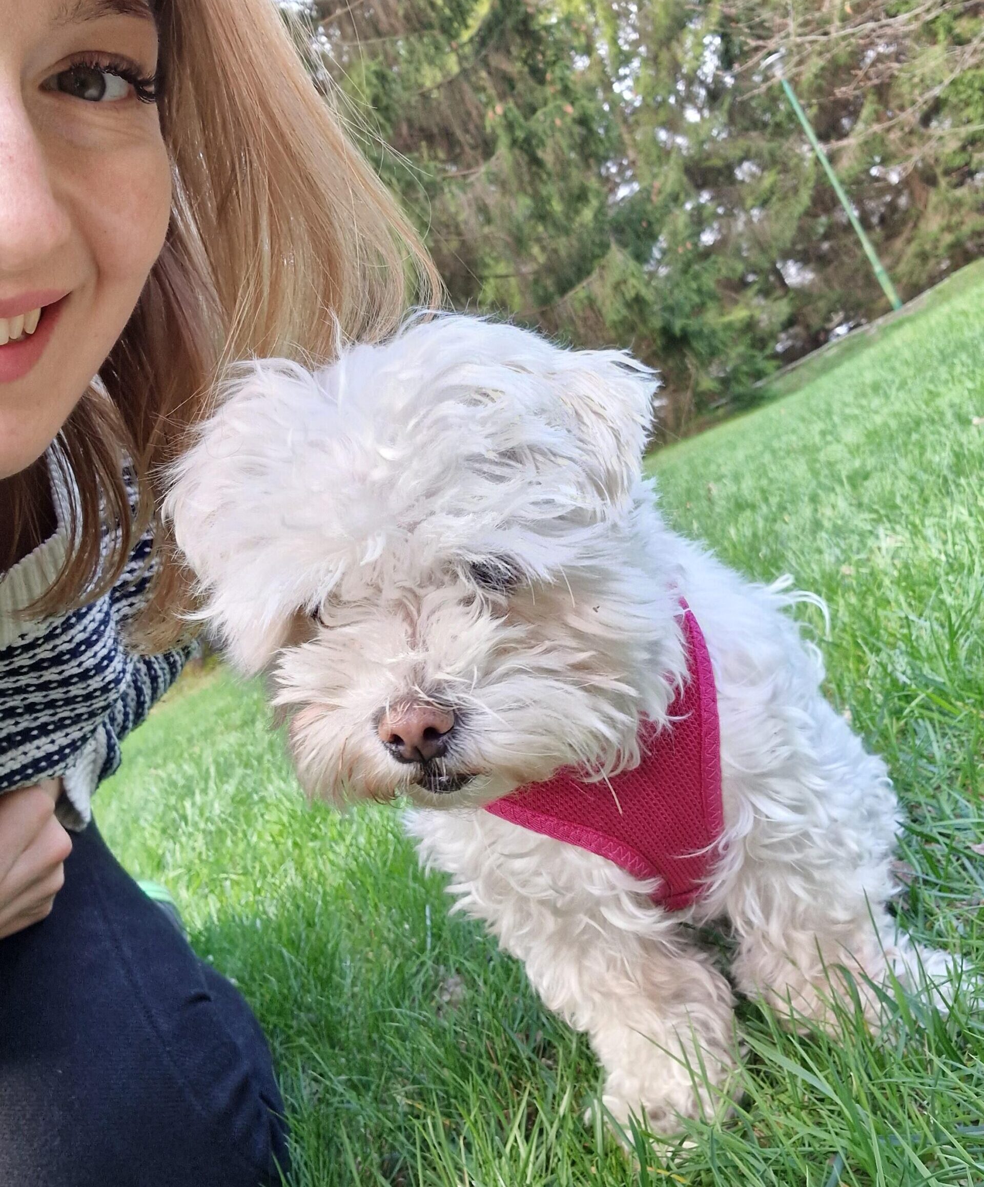 Nala - konsultacja behawioralna Częstochowa