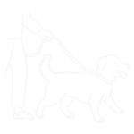 Konsultacja szkolenie psów