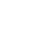 Konsultacja szkolenie psów