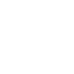 Konsultacja szkolenie psów