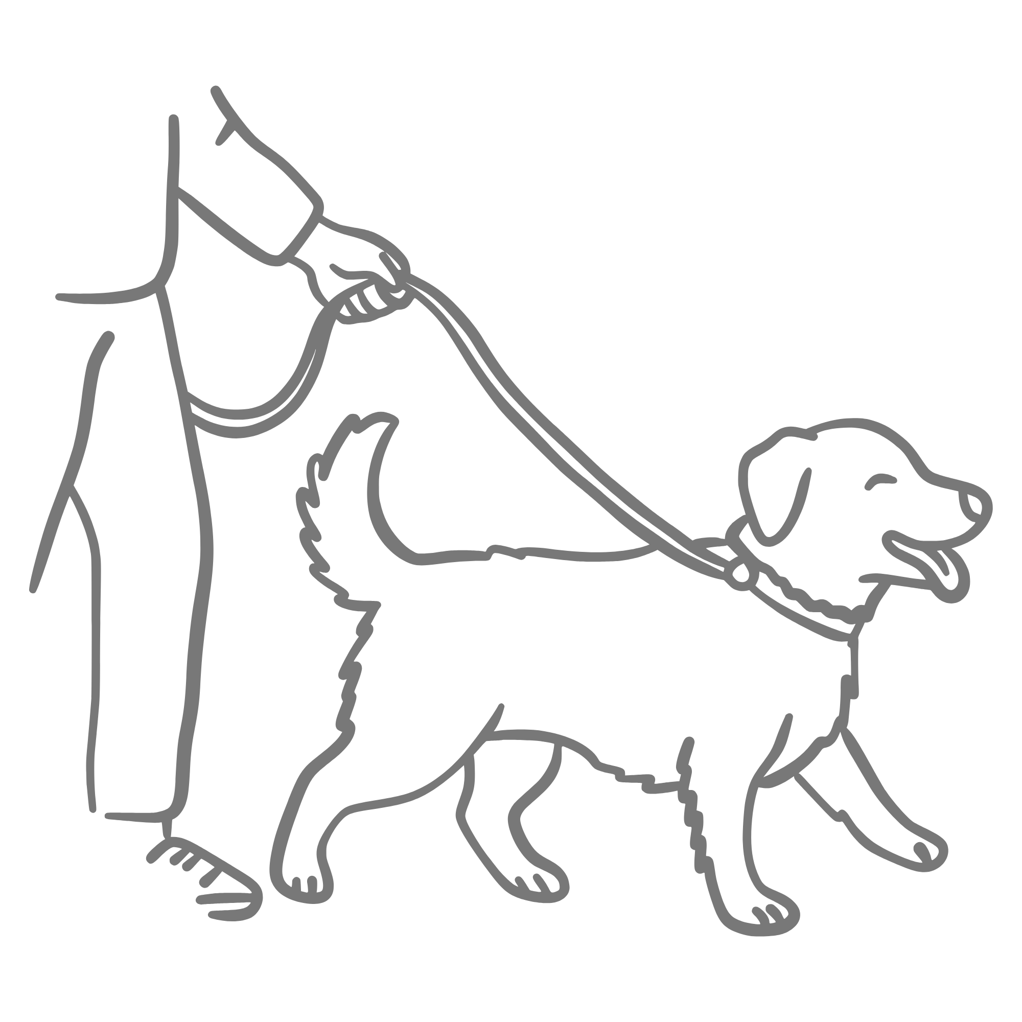 Spacery terapeutyczny Częstochowa - Psie Manewry